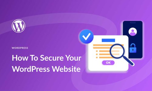 How to secure your wordpress website?